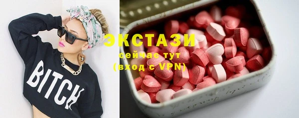 гашик Алексин