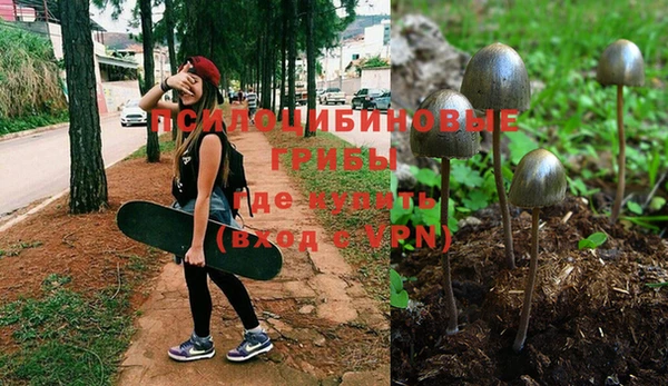 дурь Алексеевка