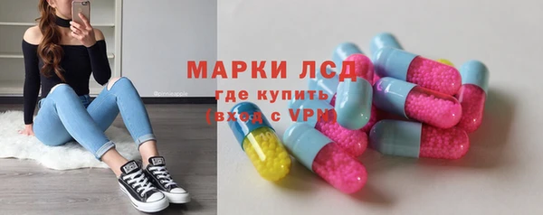 гашик Алексин