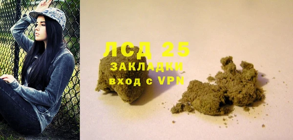 гашик Алексин