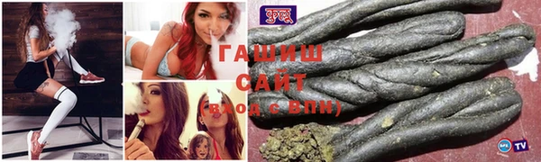 гашик Алексин